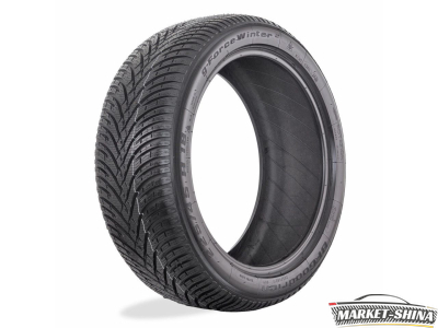 BFGoodrich g-Force Winter 2 205/50 R17 93H