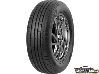 Fronway Ecogreen 66 225/55 R16 99W