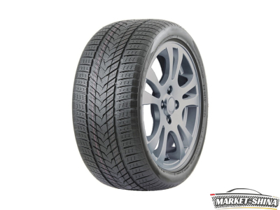Roadmarch Winterxpro 999 255/50 R19 107H