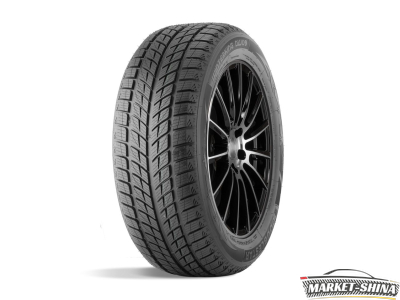 Double Star DW09 235/55 R20 102H