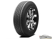 Roadian HT